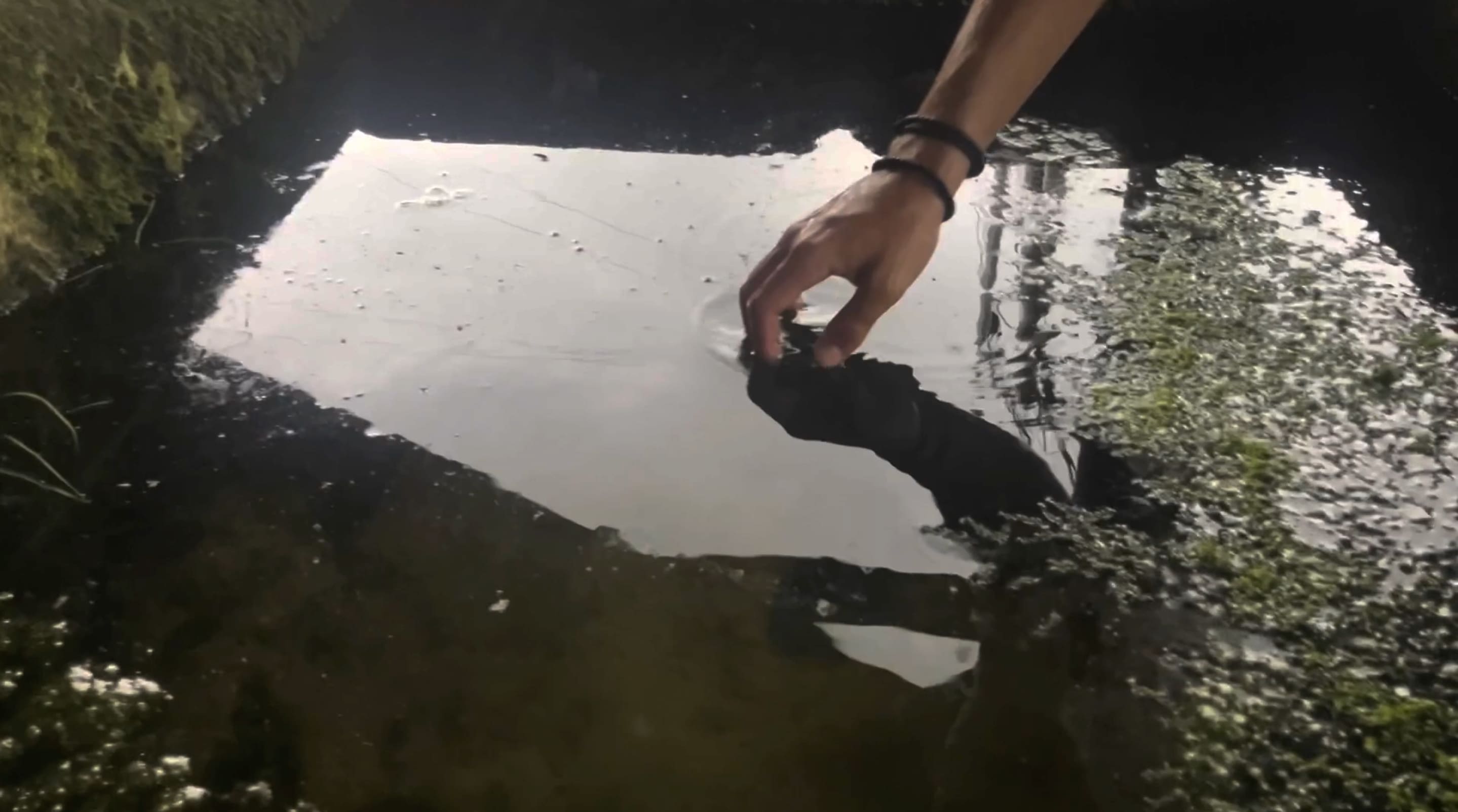 2e photographie de Psychical Pearls où on voit une main qui cherche à atteindre quelque chose qui se trouve dans de l'eau sale. Autour et dans l'eau se trouve de la mousse végétale.